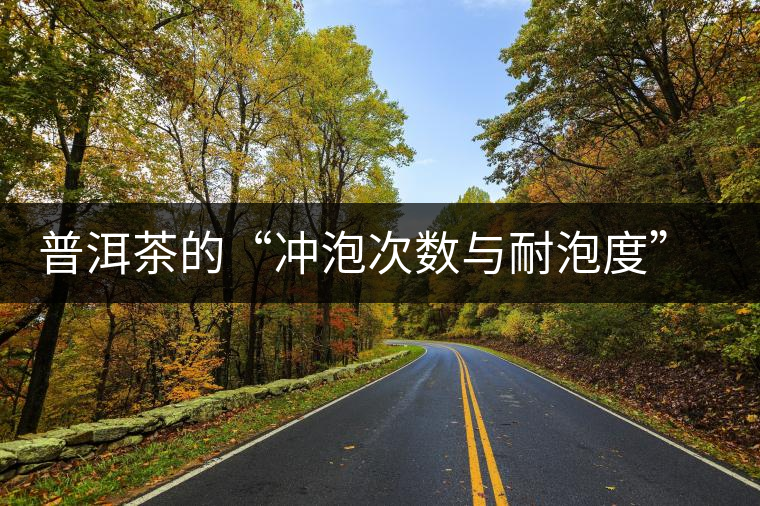 普洱茶的“沖泡次數(shù)與耐泡度”，你都了解嗎？