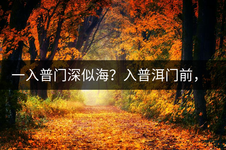 一入普門深似海？入普洱門前，你需要了解這些