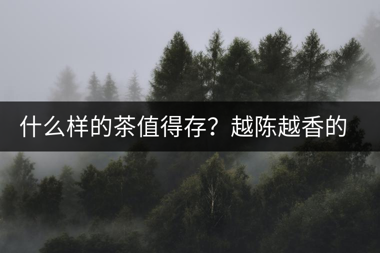 什么樣的茶值得存？越陳越香的本質(zhì)是什么？