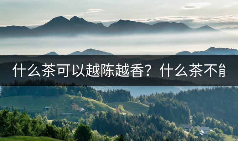 什么茶可以越陳越香？什么茶不能？