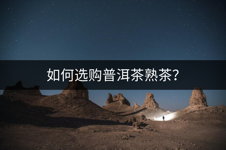 如何選購普洱茶熟茶？