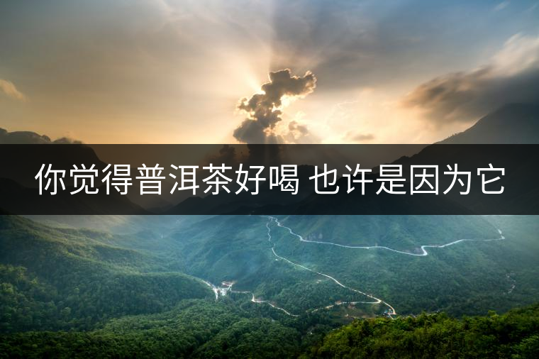 你覺得普洱茶好喝 也許是因?yàn)樗? alt=