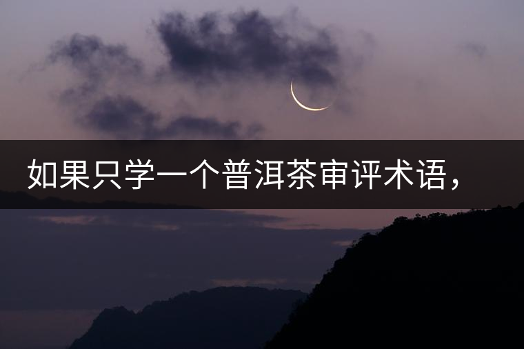 如果只學一個普洱茶審評術(shù)語，那應該是什么？
