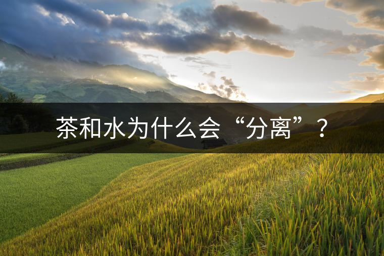 茶和水為什么會(huì)“分離”？