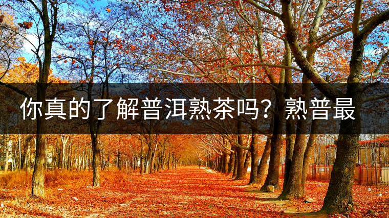 你真的了解普洱熟茶嗎？熟普最詳細(xì)的揭秘都在這里了。