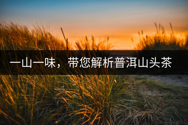 一山一味，帶您解析普洱山頭茶的密碼究竟是什么？