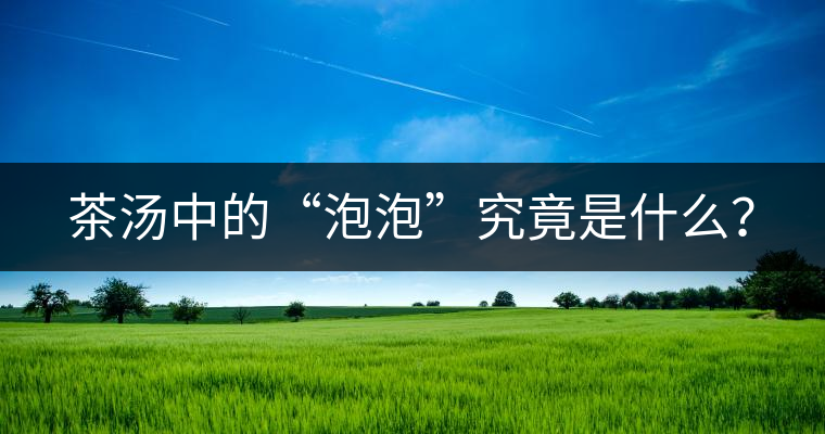 茶湯中的“泡泡”究竟是什么？