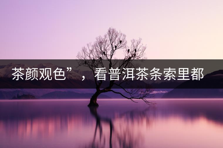 茶顏觀色”，看普洱茶條索里都蘊(yùn)含著怎樣的“密碼”？