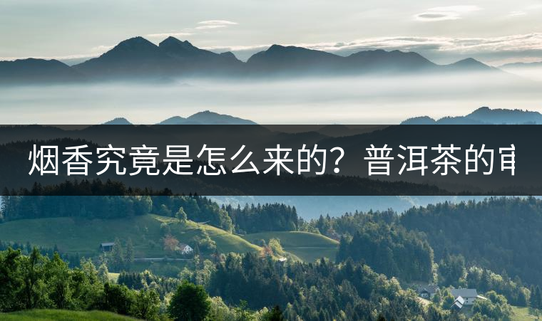 煙香究竟是怎么來(lái)的？普洱茶的審美困局。