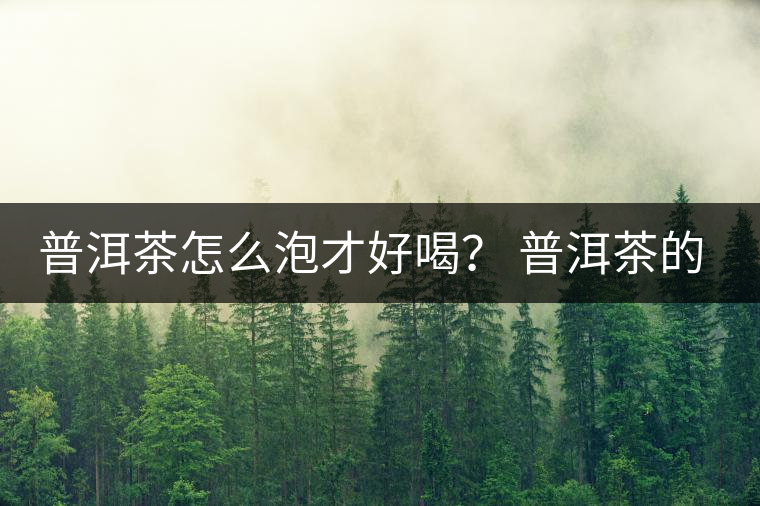 普洱茶怎么泡才好喝？ 普洱茶的沖泡技巧！
