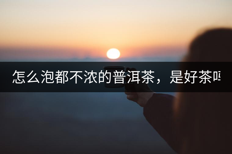 怎么泡都不濃的普洱茶，是好茶嗎？