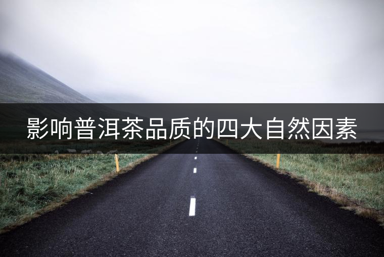 影響普洱茶品質(zhì)的四大自然因素 影響普洱茶品質(zhì)的四大自然因素