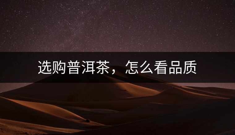 選購普洱茶，怎么看品質(zhì)