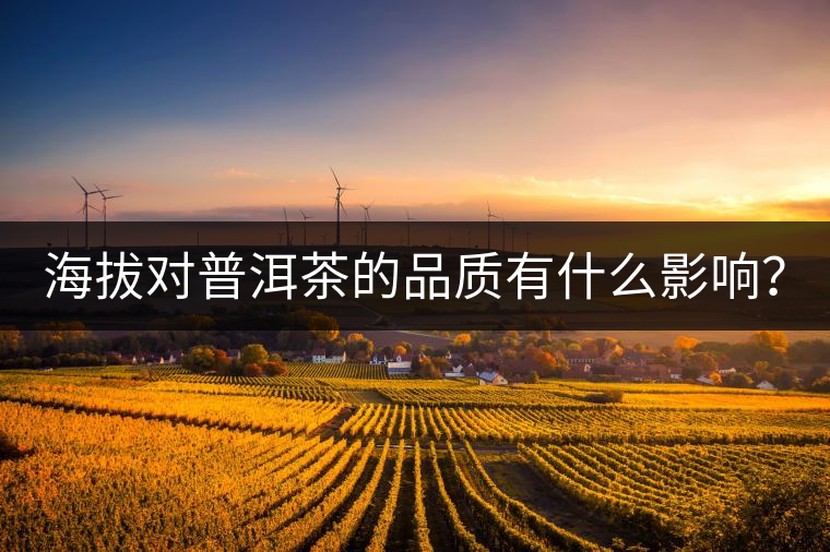 海拔對(duì)普洱茶的品質(zhì)有什么影響？