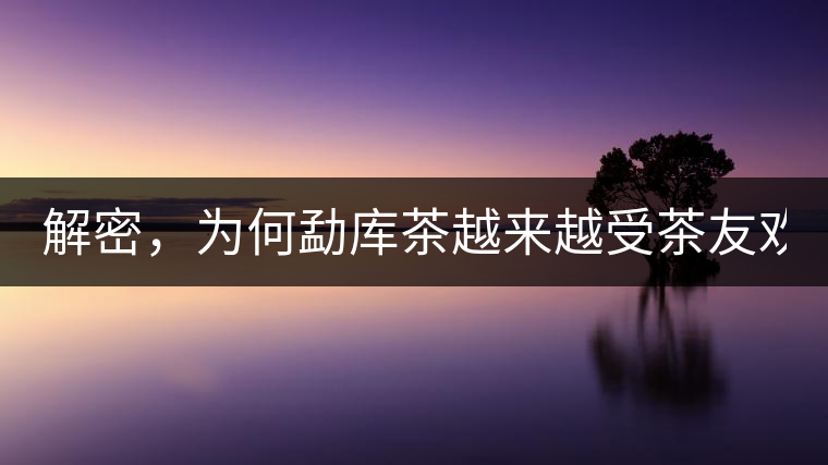 解密，為何勐庫茶越來越受茶友歡迎！