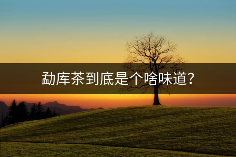 勐庫茶到底是個啥味道？