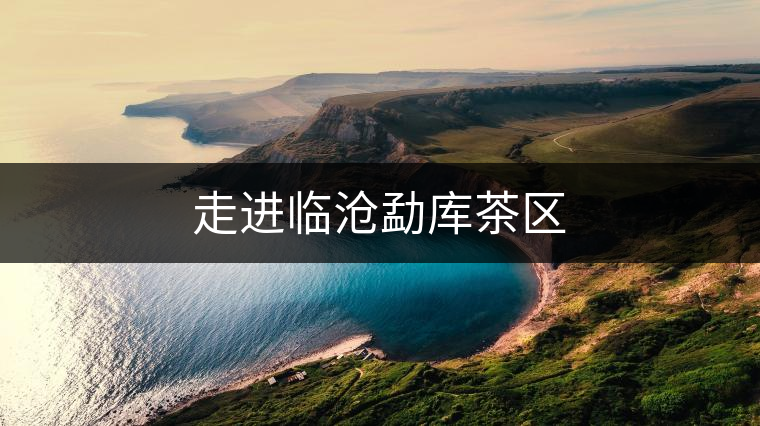 走進臨滄勐庫茶區(qū) 走進臨滄勐庫茶區(qū)