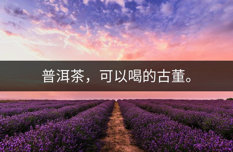 普洱茶，可以喝的古董。