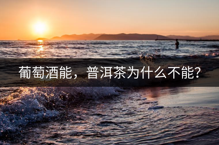 葡萄酒能，普洱茶為什么不能？