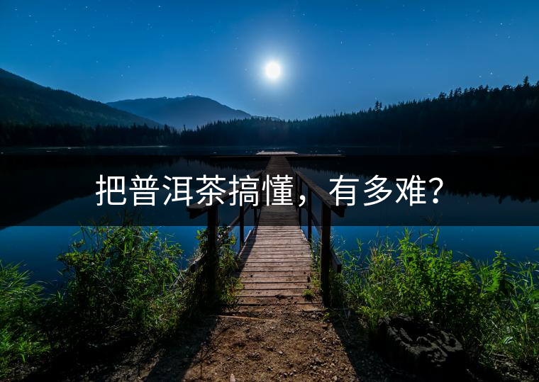 把普洱茶搞懂，有多難？