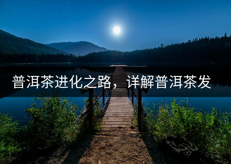 普洱茶進(jìn)化之路，詳解普洱茶發(fā)展的三大重要階段