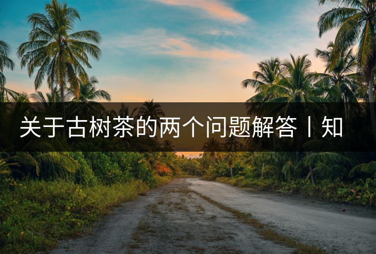 關(guān)于古樹(shù)茶的兩個(gè)問(wèn)題解答丨知識(shí)