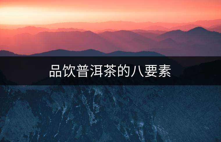 品飲普洱茶的八要素