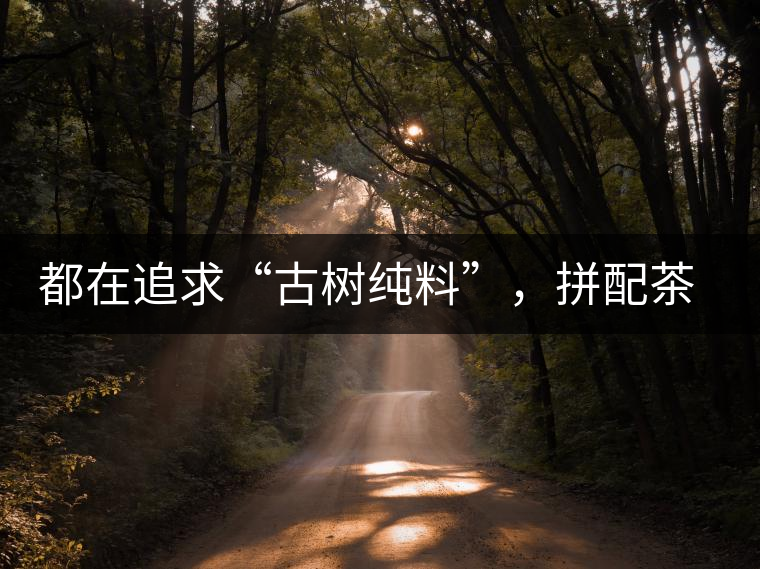 都在追求“古樹純料”，拼配茶真的不如純料的？