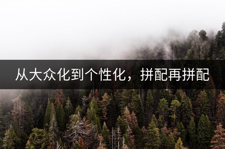 從大眾化到個性化，拼配再拼配