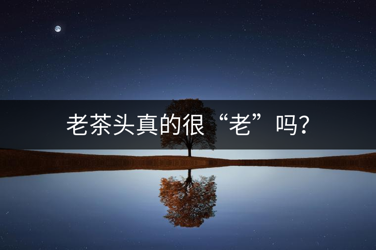老茶頭真的很“老”嗎？