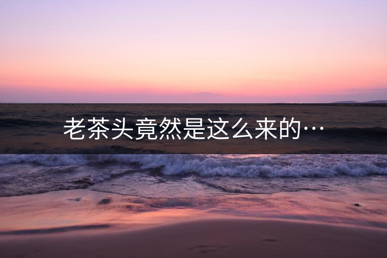 老茶頭竟然是這么來的…