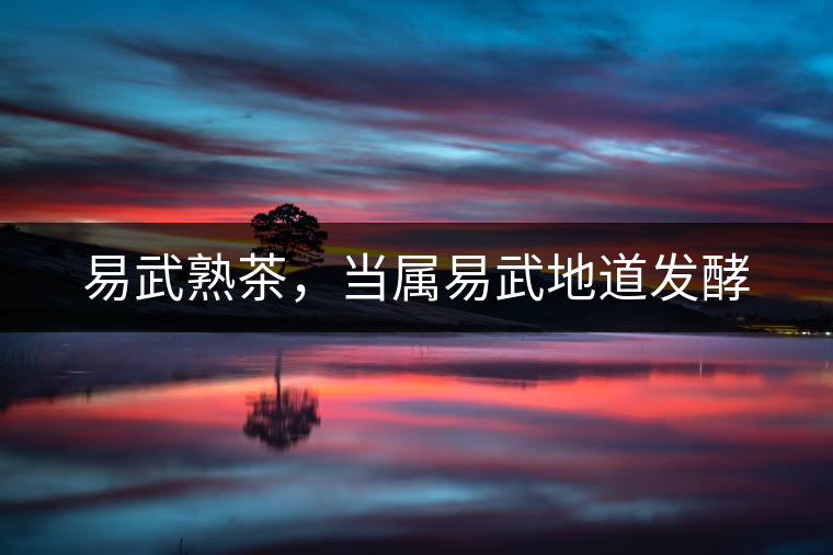 易武熟茶，當(dāng)屬易武地道發(fā)酵