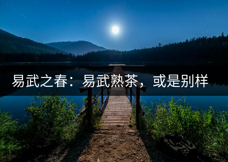 易武之春：易武熟茶，或是別樣風采丨賞鑒