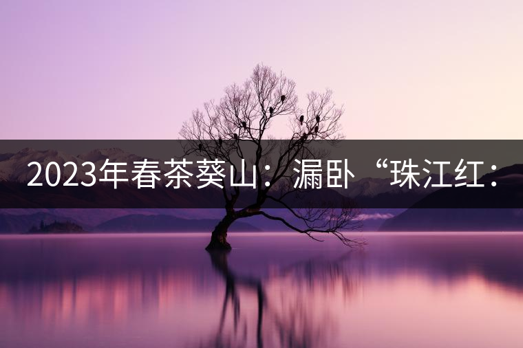 2023年春茶葵山：漏臥“珠江紅：1200元-3200元（有3個檔次）漏臥“大廠茶”：古樹單株8600-9000元／公斤，中樹4800-5200元／公斤，小樹混采2600-2800元／公斤。