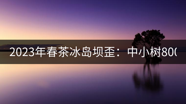 2023年春茶冰島壩歪：中小樹800元／公斤，古樹1400-1600元／公斤