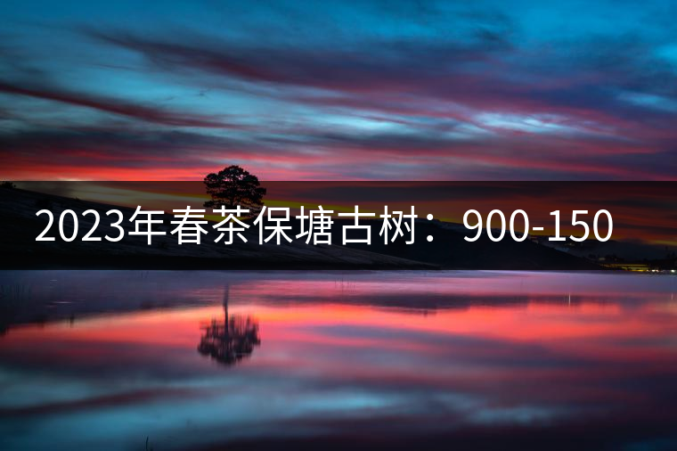 2023年春茶保塘古樹(shù):900-1500元/公斤 2023年春茶保塘古樹(shù):900-1500元/公斤