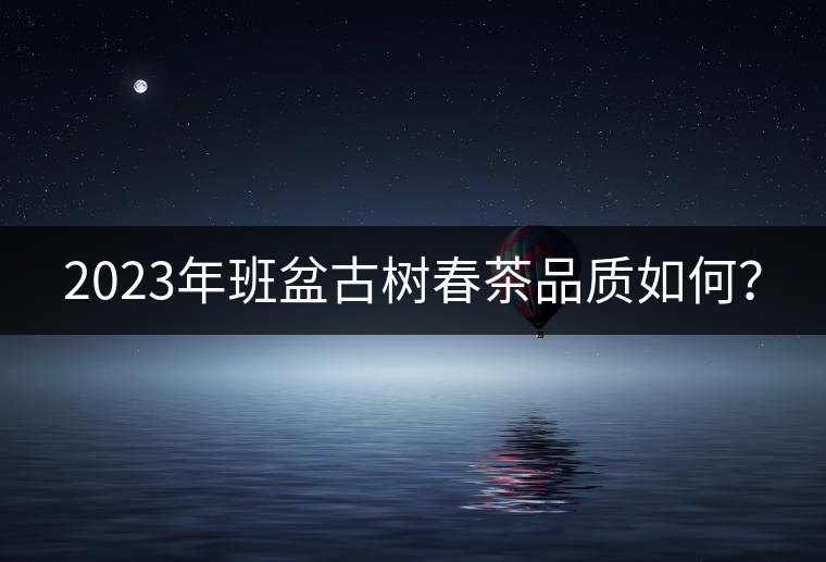 2023年班盆古樹春茶品質(zhì)如何？