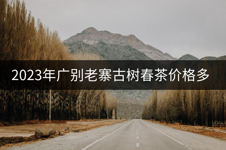 2023年廣別老寨古樹(shù)春茶價(jià)格多少？