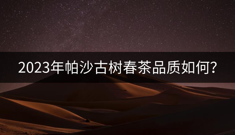 2023年帕沙古樹春茶品質如何？
