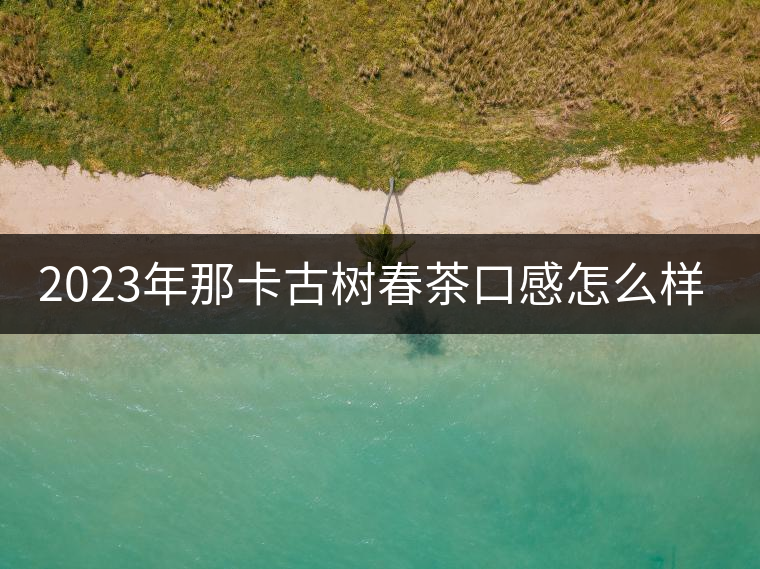 2023年那卡古樹春茶口感怎么樣？