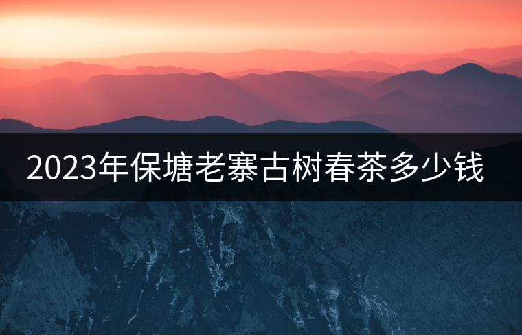 2023年保塘老寨古樹(shù)春茶多少錢(qián)一公斤？