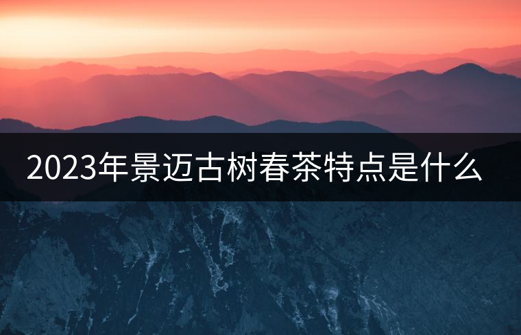 2023年景邁古樹春茶特點(diǎn)是什么？