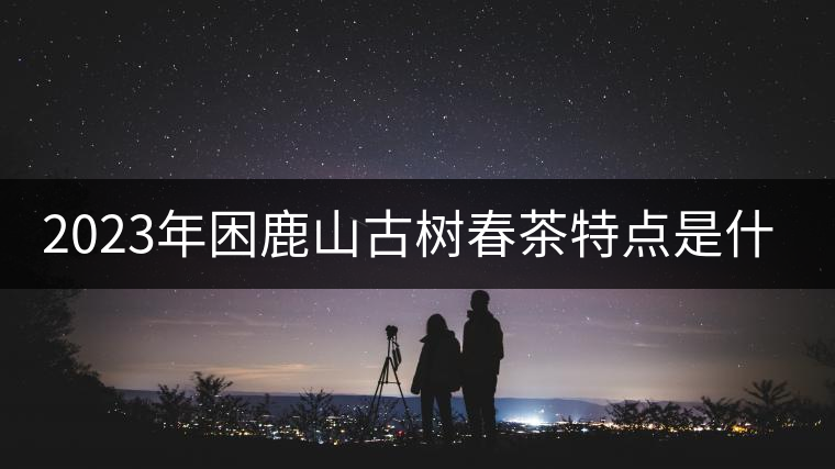 2023年困鹿山古樹春茶特點是什么？