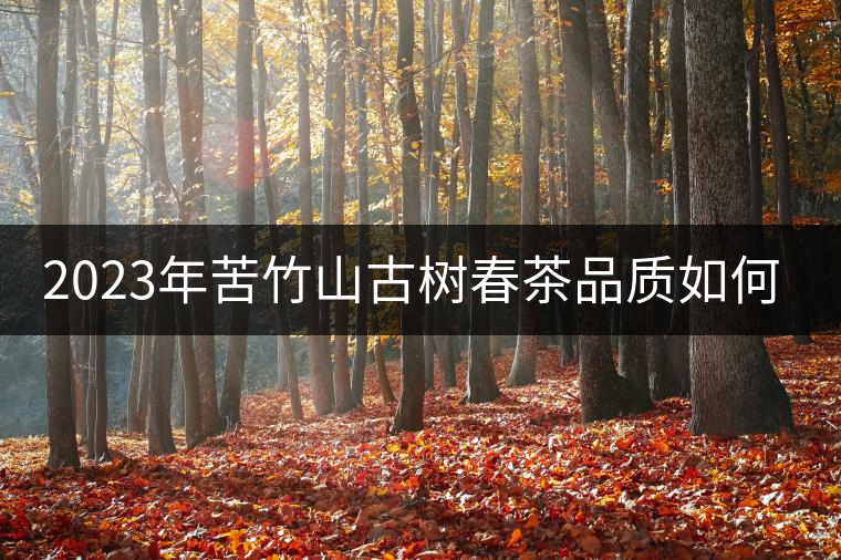 2023年苦竹山古樹春茶品質(zhì)如何? 2023年苦竹山古樹春茶品質(zhì)如何?