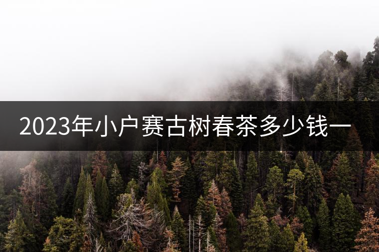 2023年小戶賽古樹春茶多少錢一公斤？
