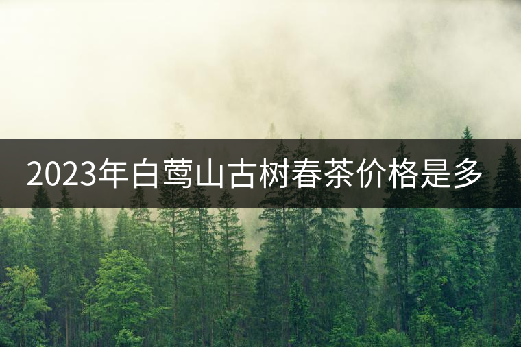 2023年白鶯山古樹春茶價格是多少？