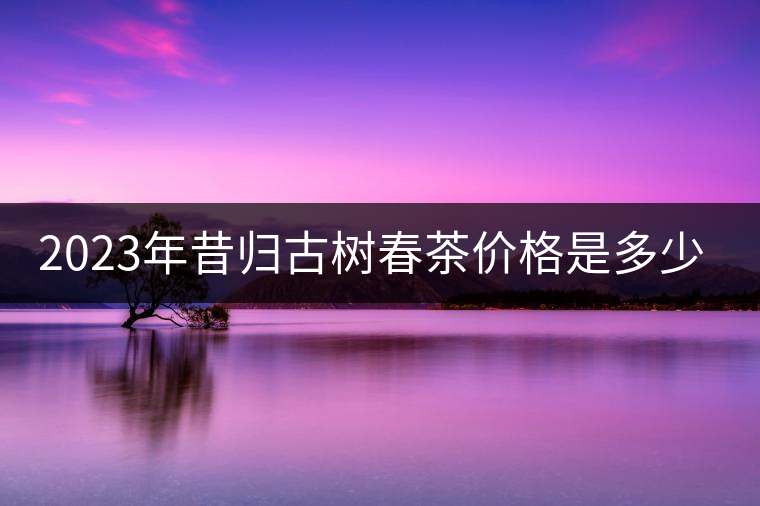 2023年昔歸古樹(shù)春茶價(jià)格是多少？