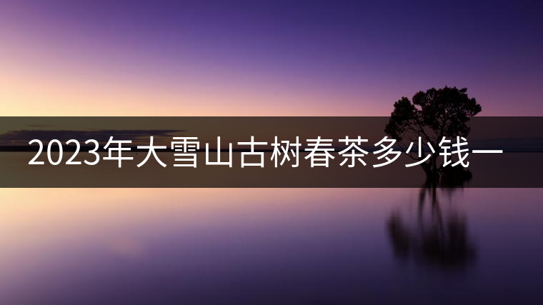 2023年大雪山古樹春茶多少錢一公斤？