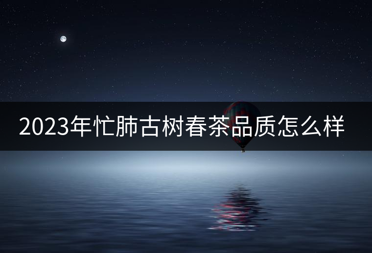 2023年忙肺古樹春茶品質(zhì)怎么樣？