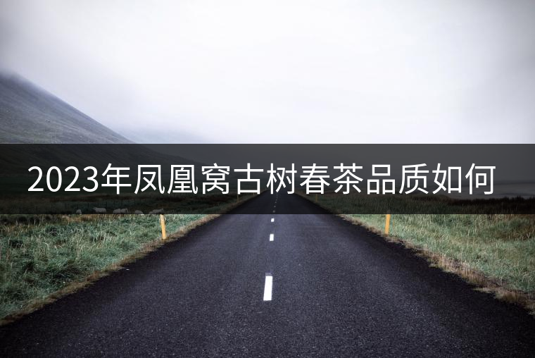 2023年鳳凰窩古樹春茶品質(zhì)如何？